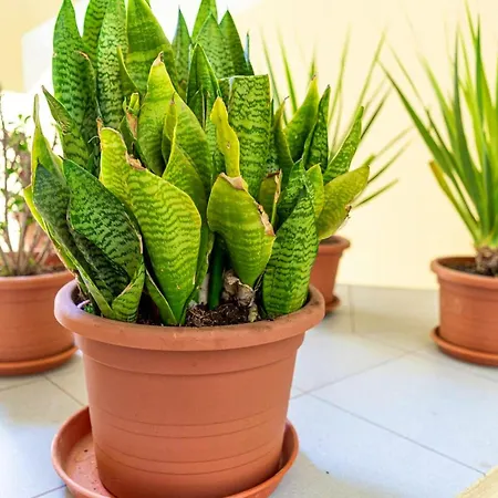 Apartment Cosy In 40 M² Close To The Corralejo