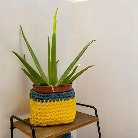 Cosy In 40 M² Close To The Apartment Corralejo